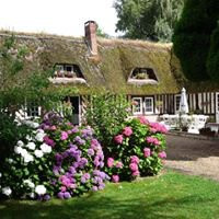 Le Pressoir de Bethel主图