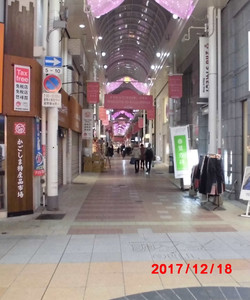 Kagoshima Tokusanhin Ichiba景点门票图片