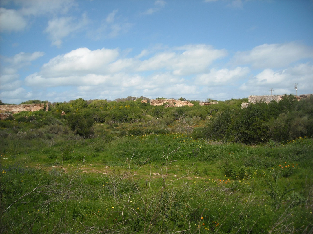 Phare de Sidi Mesbah景点图片