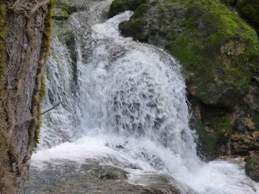 Cascade du Verneau景点图片