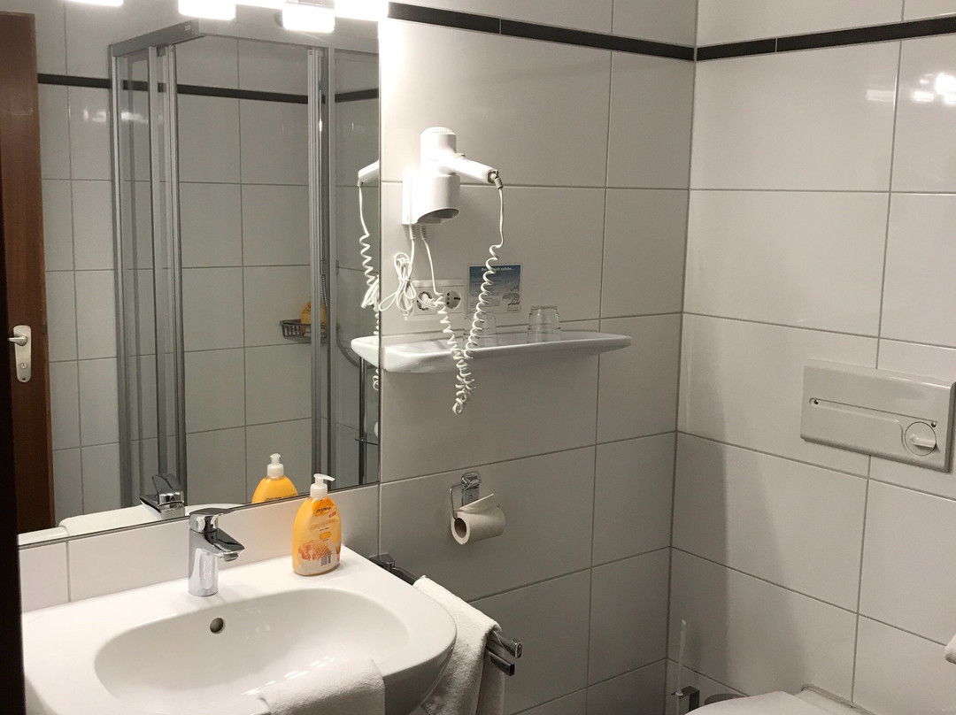 Hotel-Restaurant Alte Kelter主图