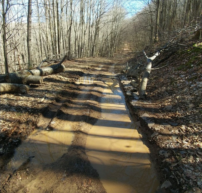 Beech Mountain Adventure Tours景点图片