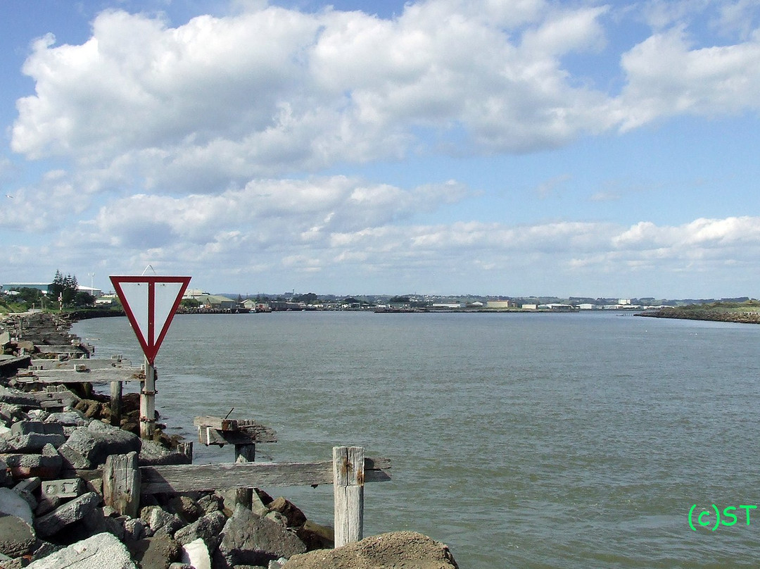 Castlecliff Beach景点图片