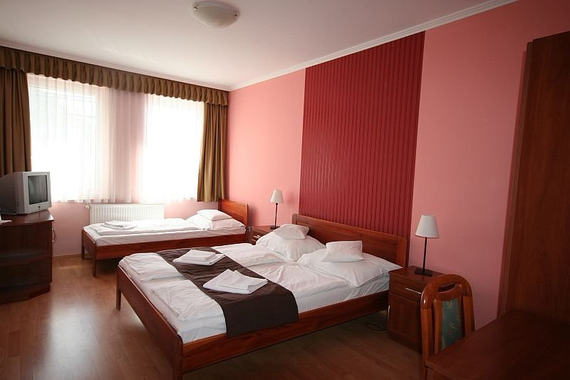 Hotel Patonai主图