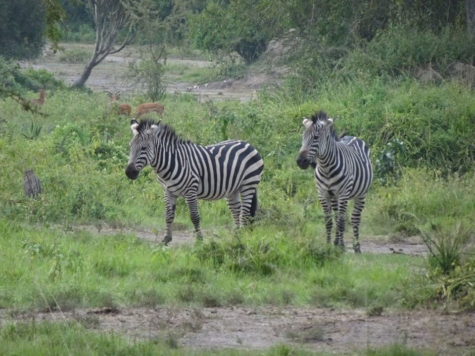 ATP Tours-坎帕拉必去景点