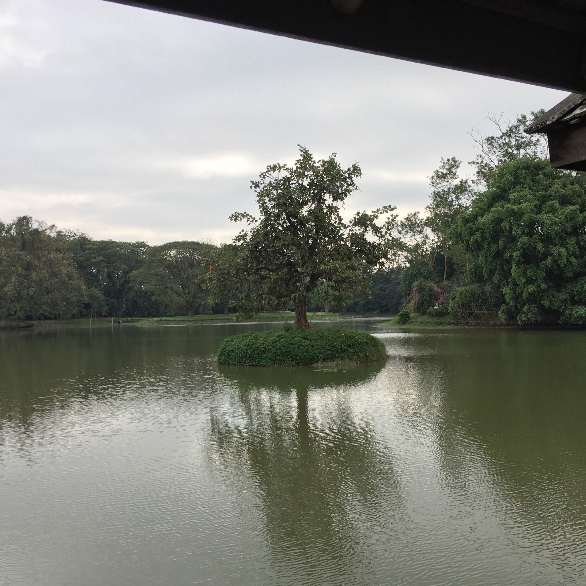 Milin Guesthouse-官方