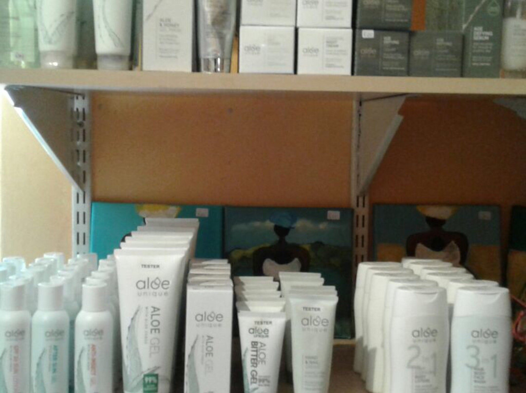 Chocolat Etc.-斯韦伦丹必去景点