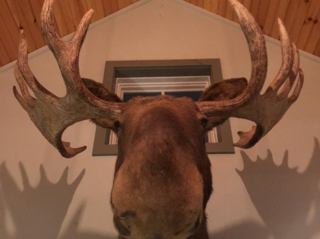 Mad River Barn主图