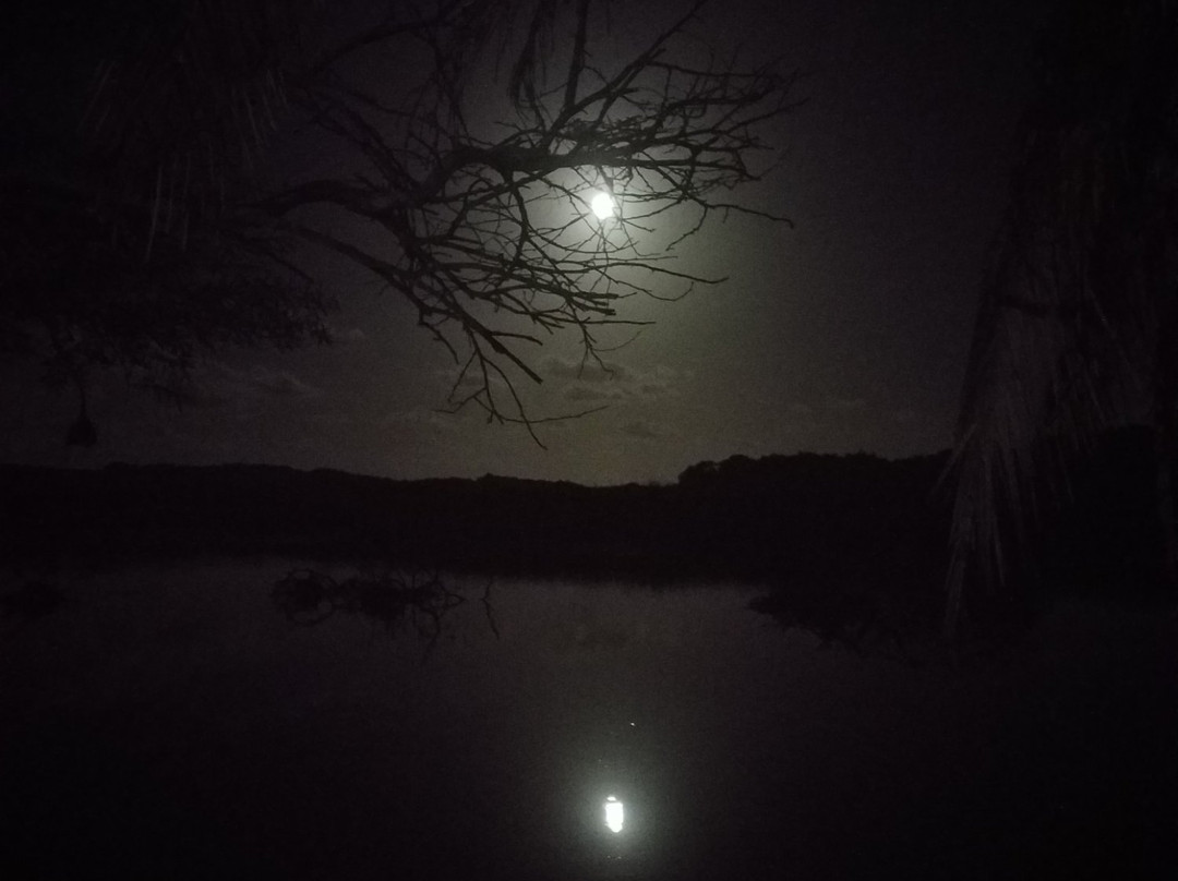 Eden River Lodge主图