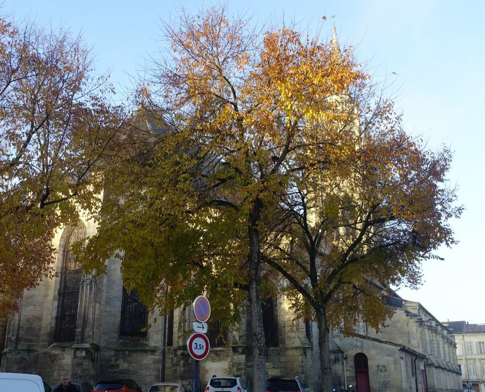 Église Saint-Jean-Baptiste景点图片
