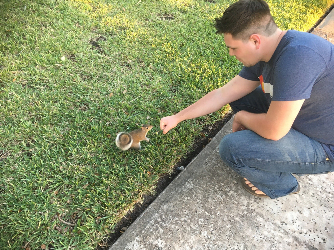 Riverside Park-维罗海滩必去景点