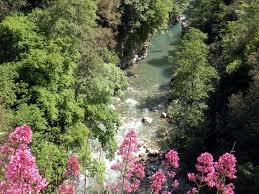 B&B La Sorgente Felitto主图