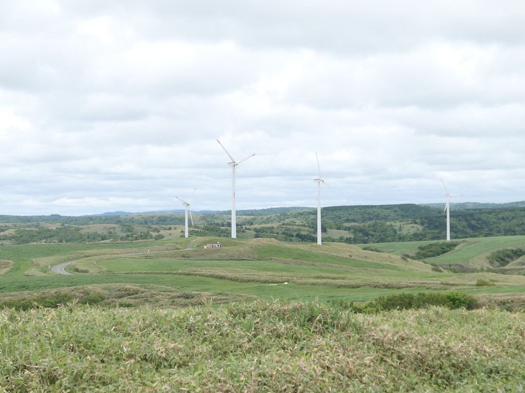 Cape Soya Wind Farm-稚内市必去景点