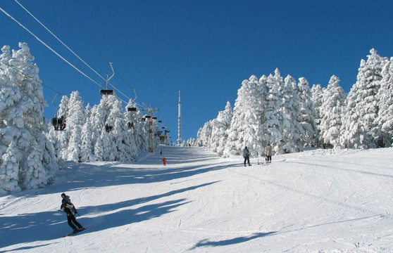 Hello Georgia-第比利斯必去景点