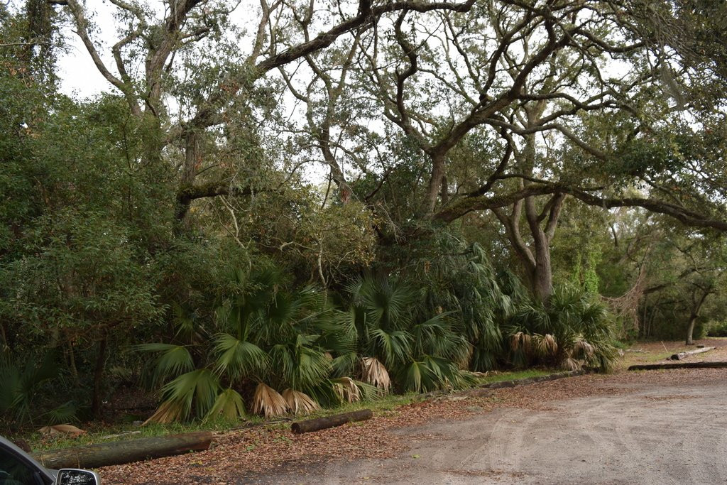 Massengale Park-圣西蒙斯岛必去景点