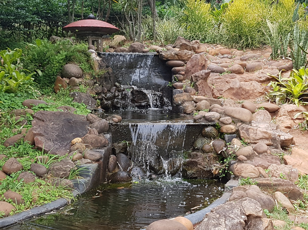 Durban North Japanese Gardens景点图片