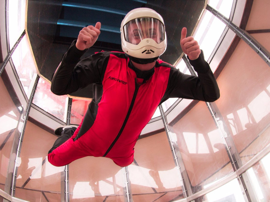 Wind Tunnel Aero-Piter景点图片