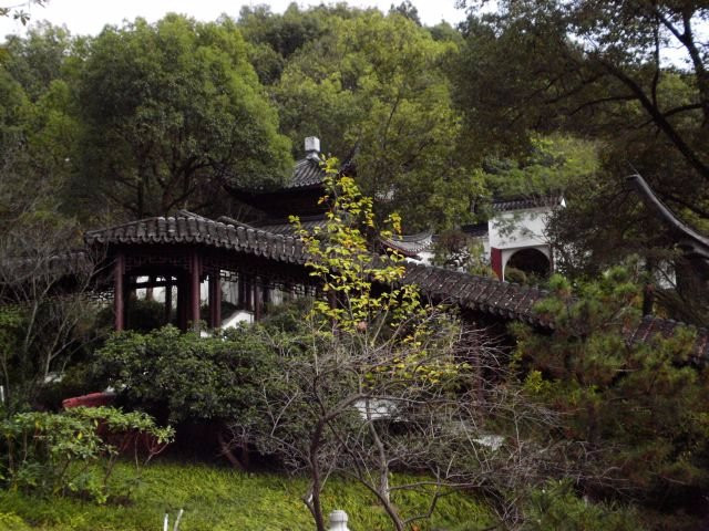 万象山公园景点图片