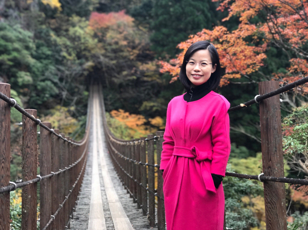 Momigi Suspension Bridge-八代市必去景点