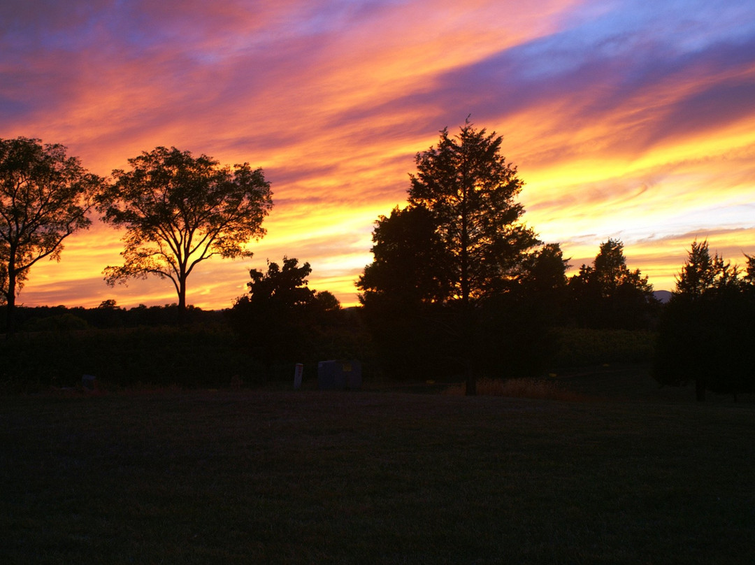 Five Oaks Vineyard-Barboursville必去景点