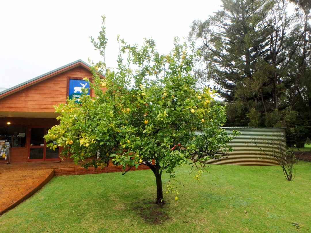 Margaret River Venison Farm-玛格丽特河必去景点
