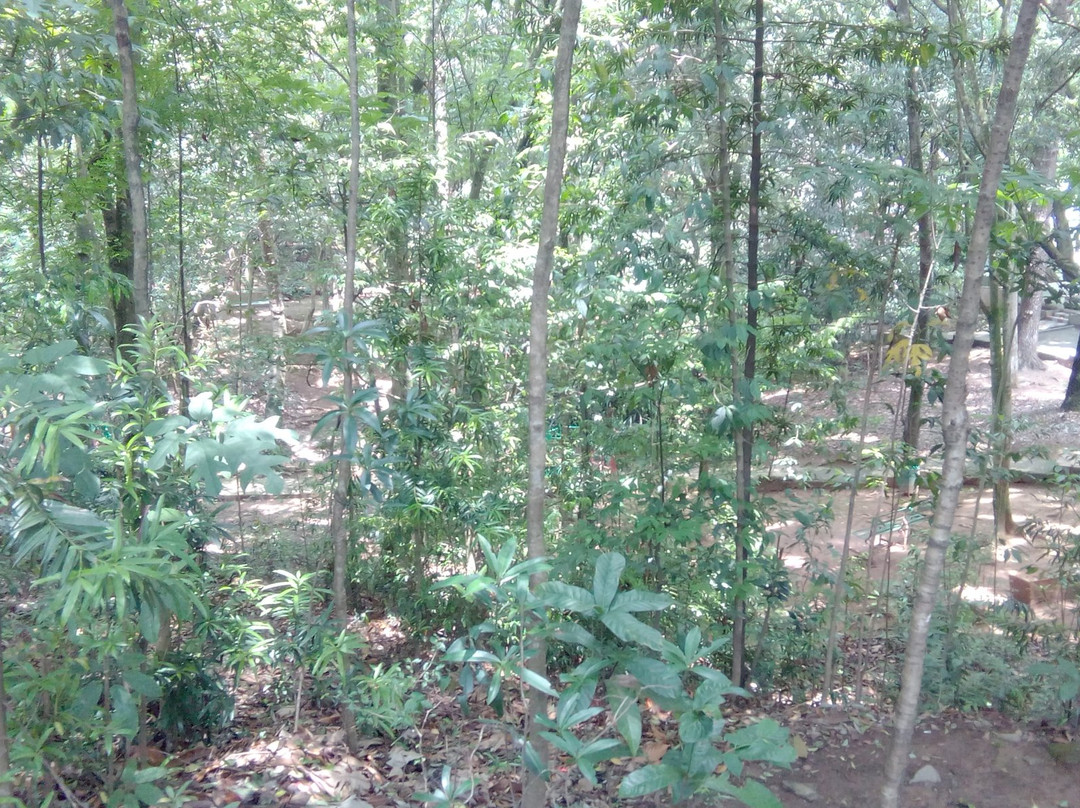 India Orchidarium and Botanical Garden景点图片