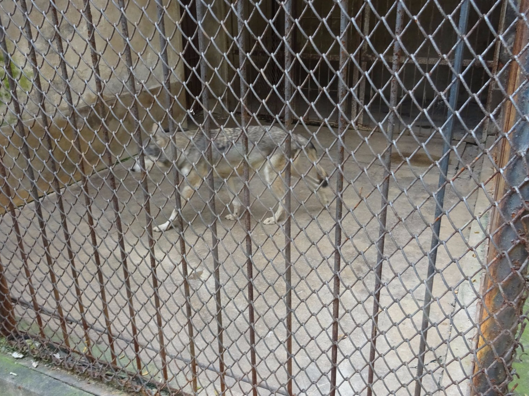 相山公园-淮北市必去景点