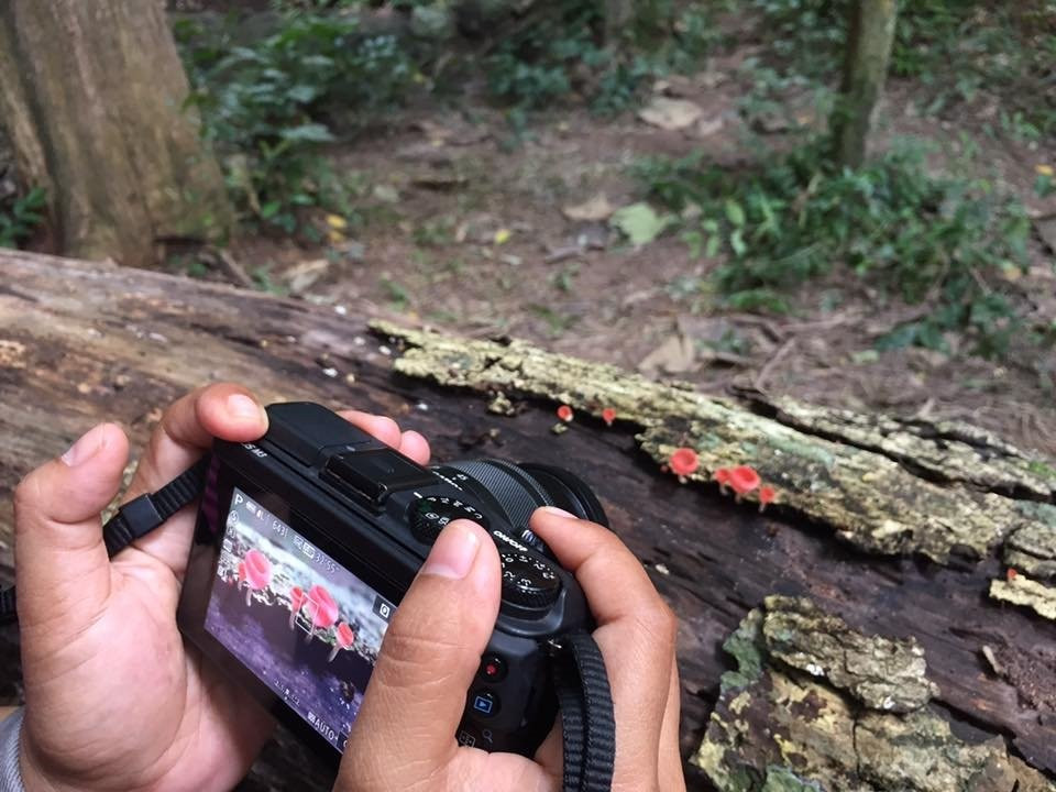 Khao Sam Lan National Park景点图片