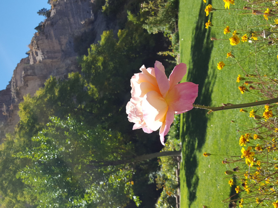 Kershaw Ryan State Park-Caliente必去景点