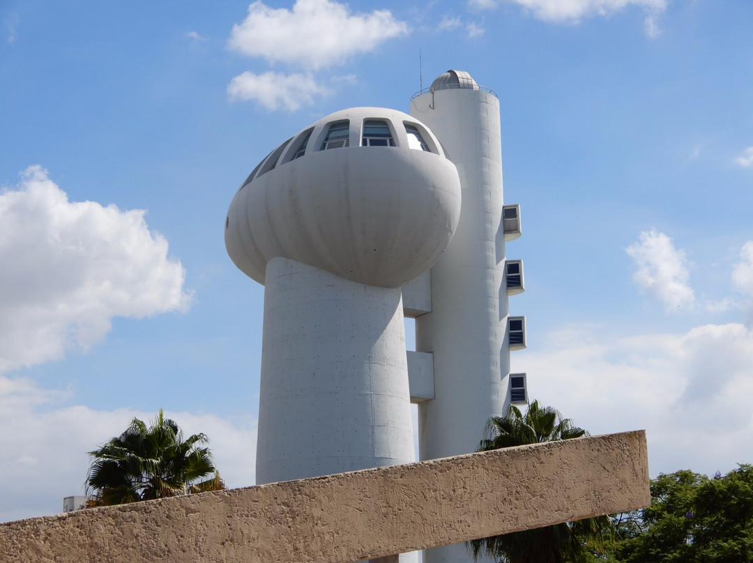 Weizmann Institute of Science-雷霍沃特必去景点