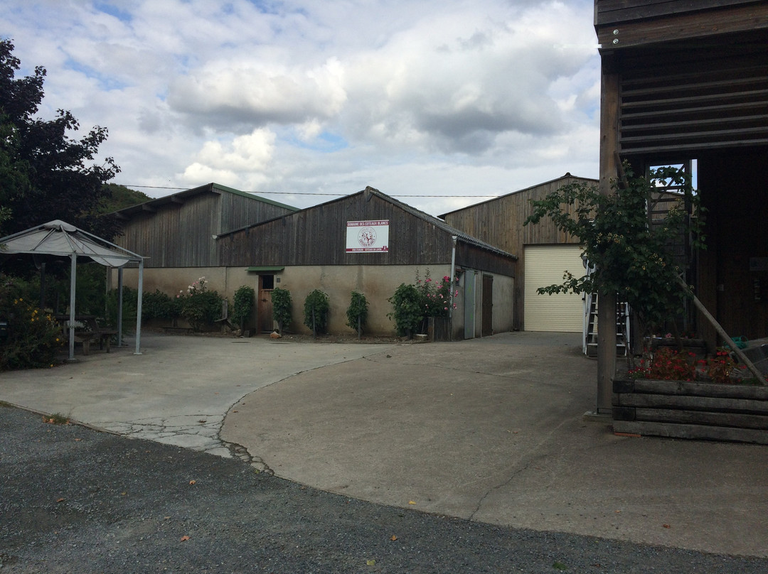Domaine des Coteaux Blancs景点图片