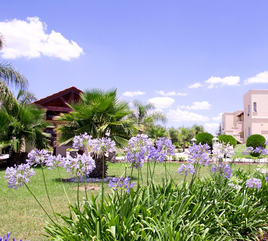 Termal del Lago主图