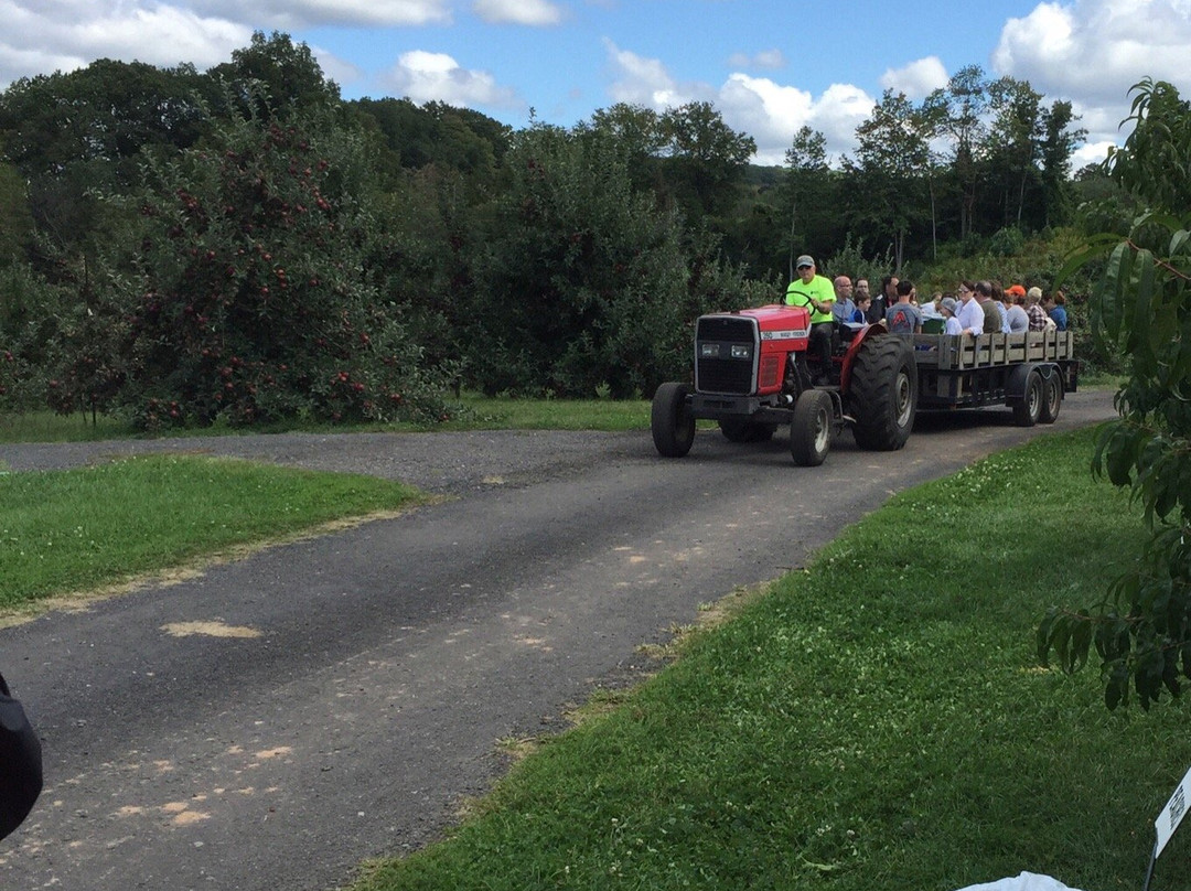 Belltown Hill Orchards-South Glastonbury必去景点
