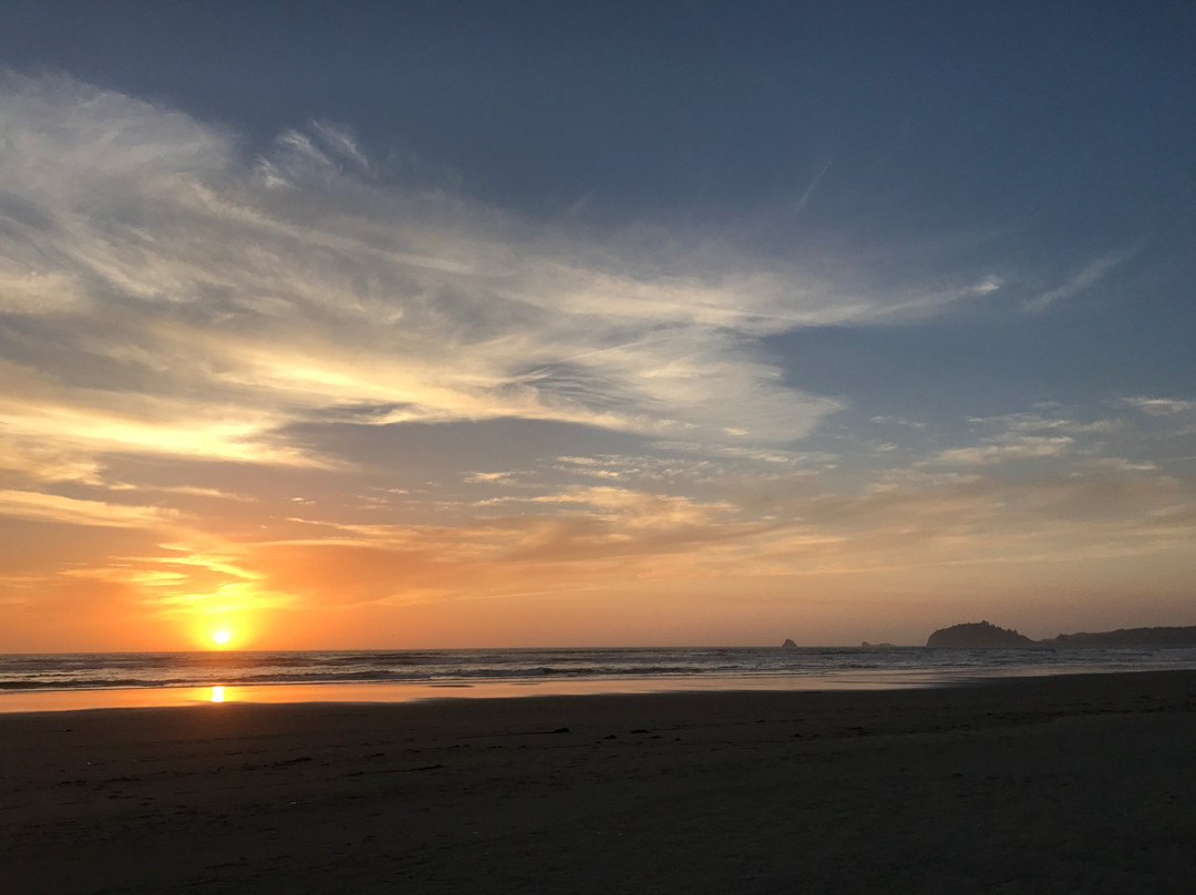 Clam Beach County Park景点图片