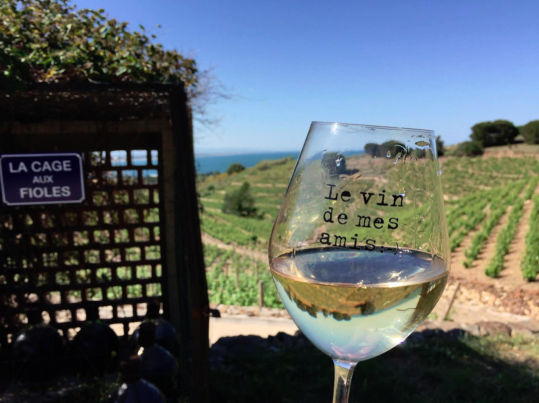 Domaine La Tour Vieille-科利乌尔必去景点
