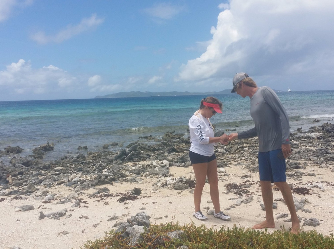 GroundSea Adventures BVI-Road Town必去景点