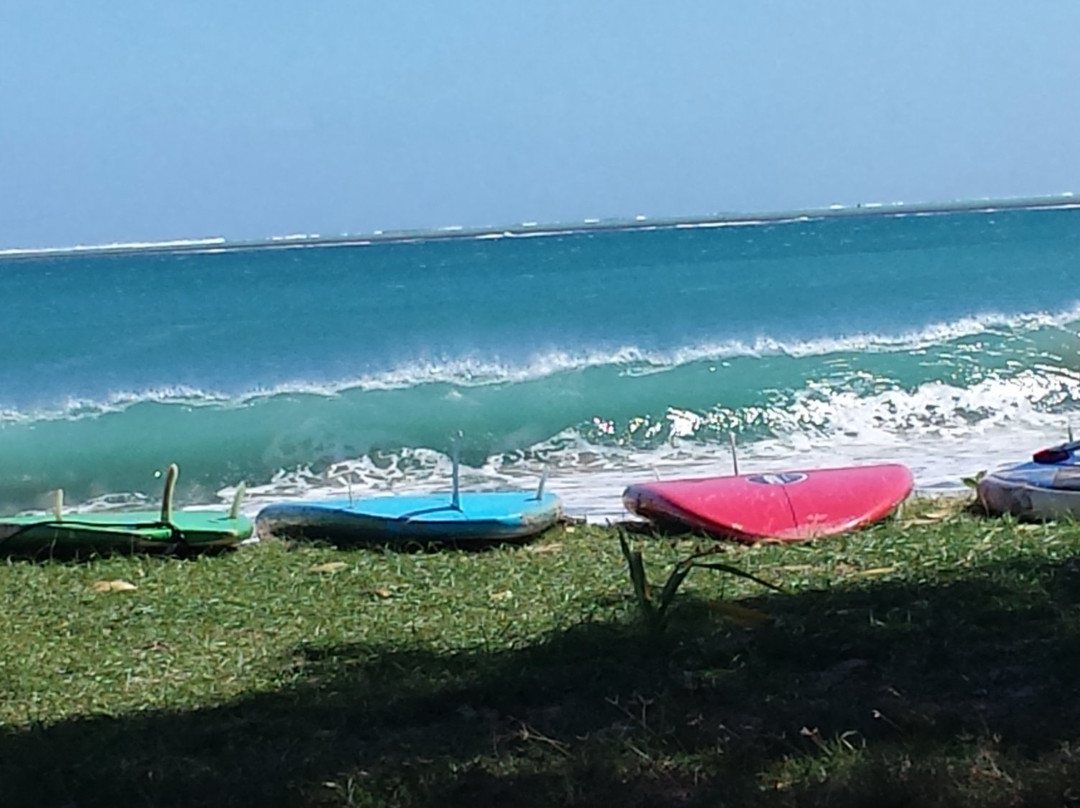 Tru-Sup Fiji-辛加东卡必去景点