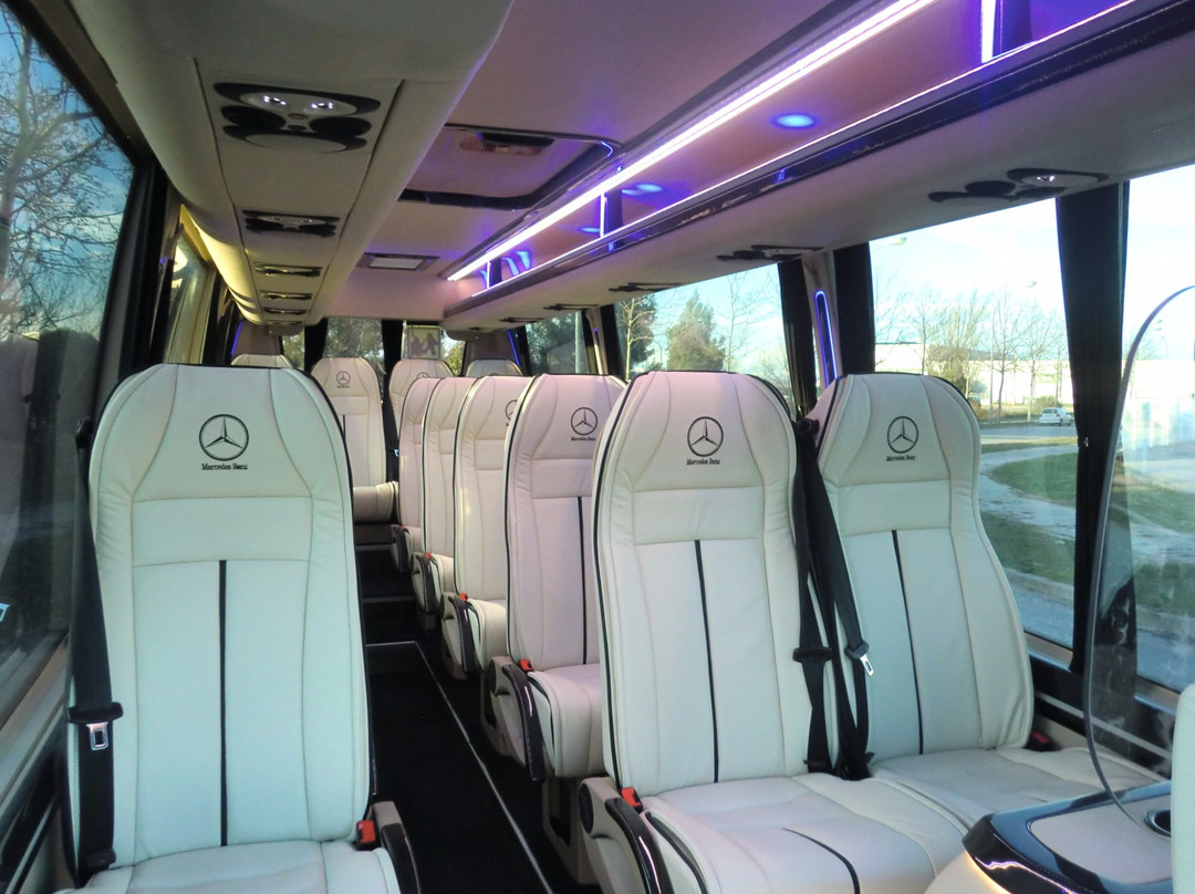 Garcatri Deluxe Transport-埃斯特波纳必去景点