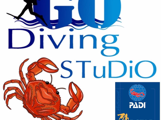Go-Diving Scuba Studio-长滩岛必去景点