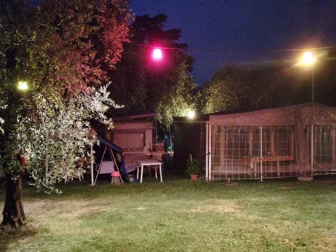 Camping Olivella