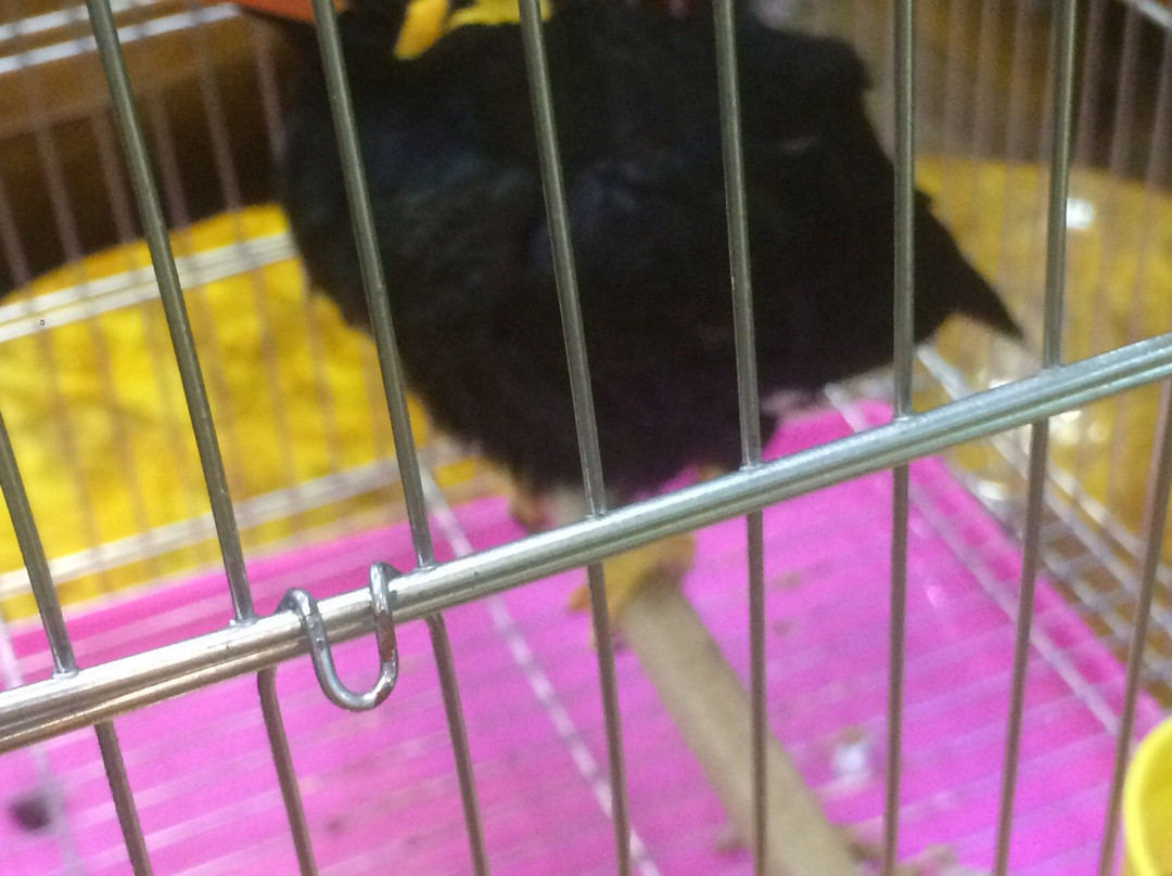 扬子江大酒店主图