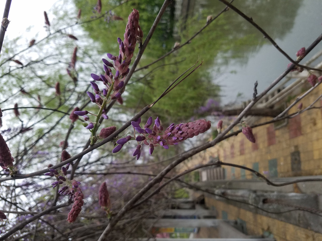 仪征鼓楼街-仪征市必去景点