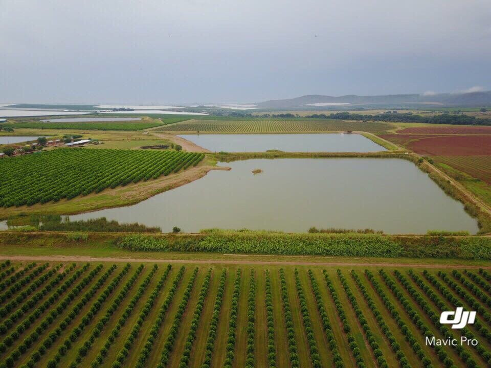 Groblersdal旅游攻略图片