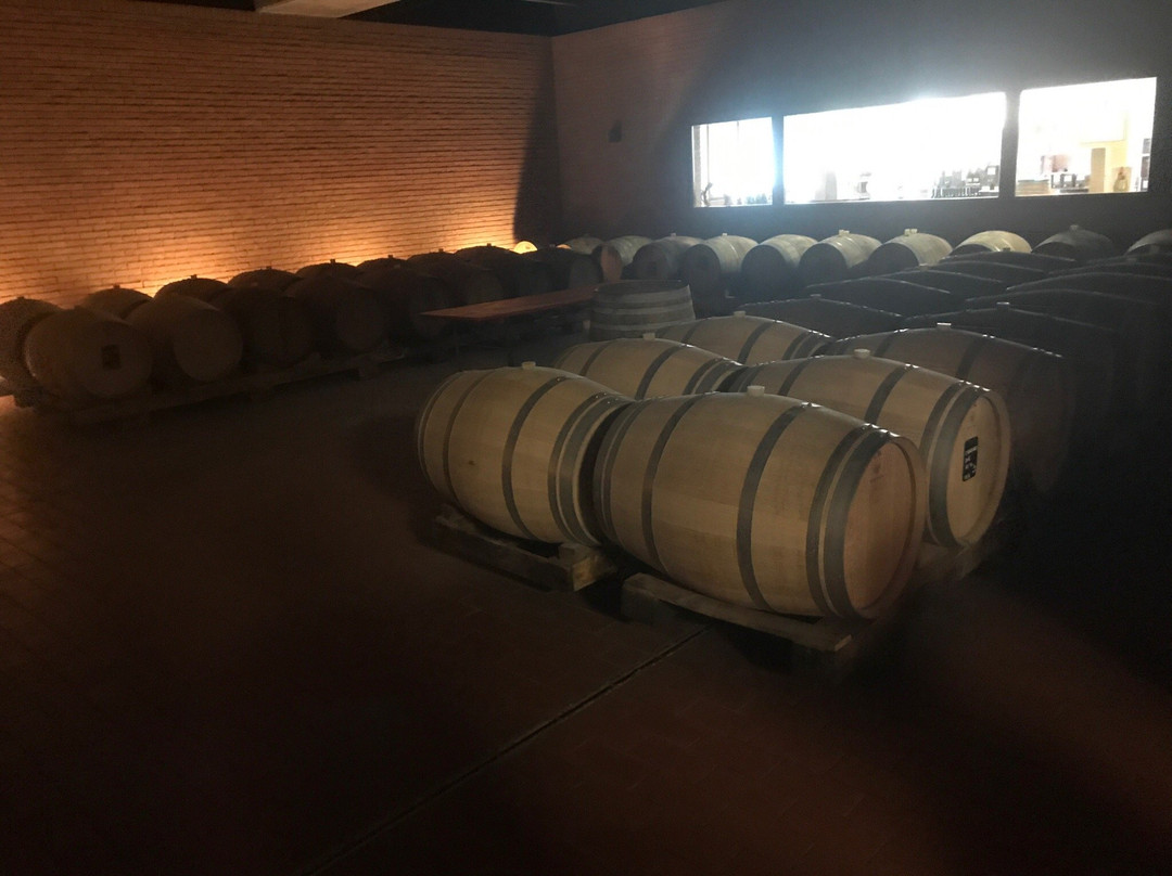CABERT Cantina di Bertiolo景点图片