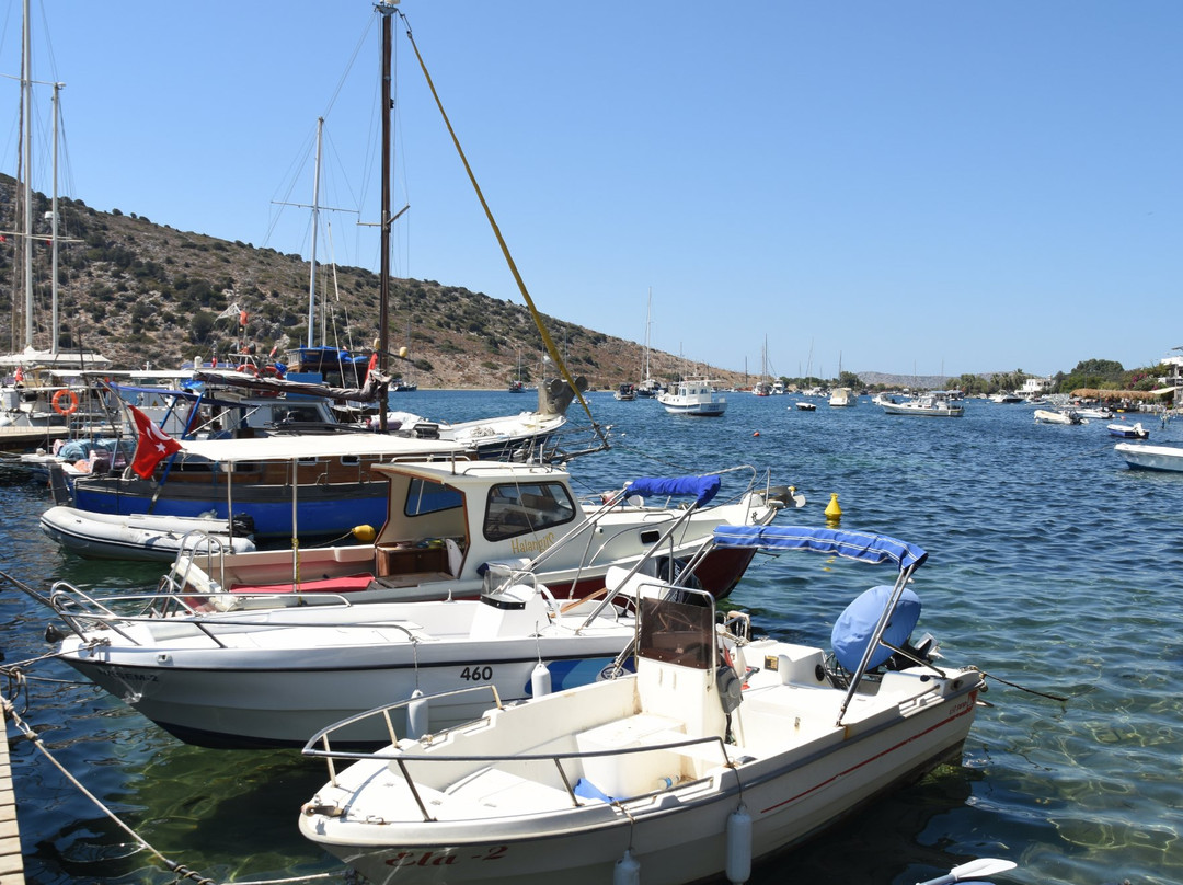 Gümüşlük Sahili景点图片