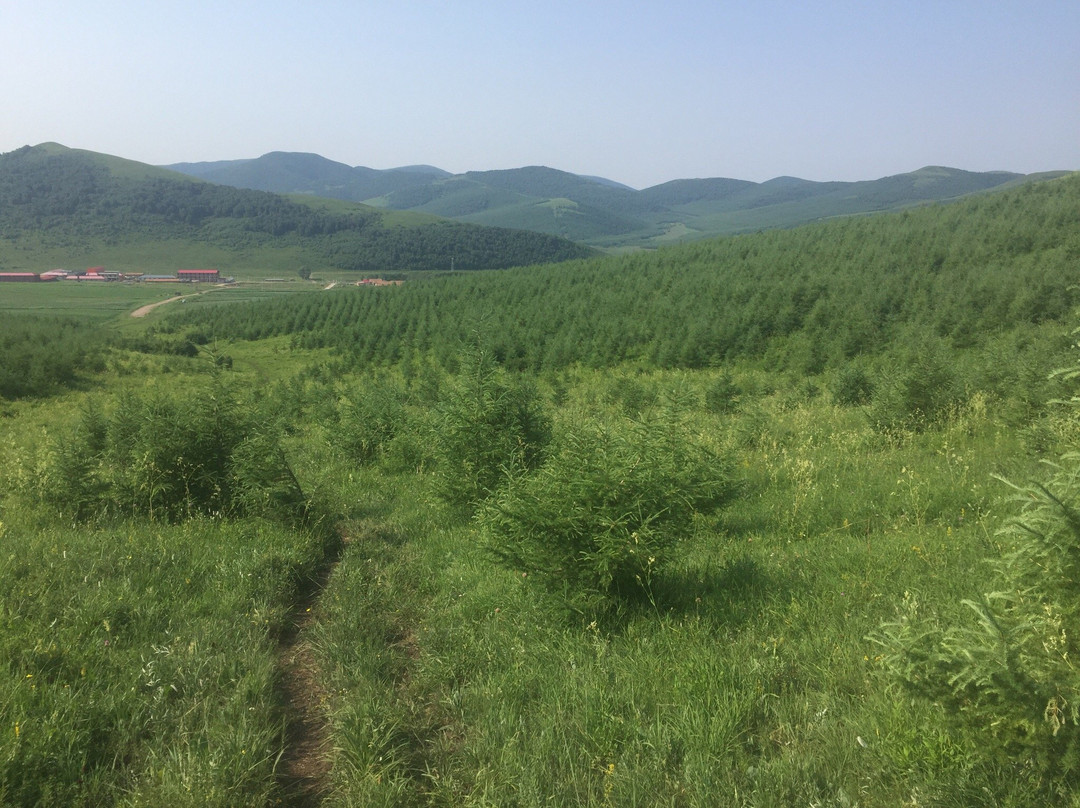 京北草原大滩-丰宁满族自治县必去景点