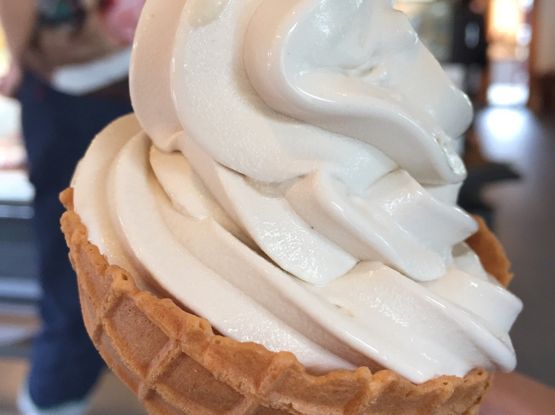 小布施町餐馆和美食-Sakurai Kanseido Hokusaitei