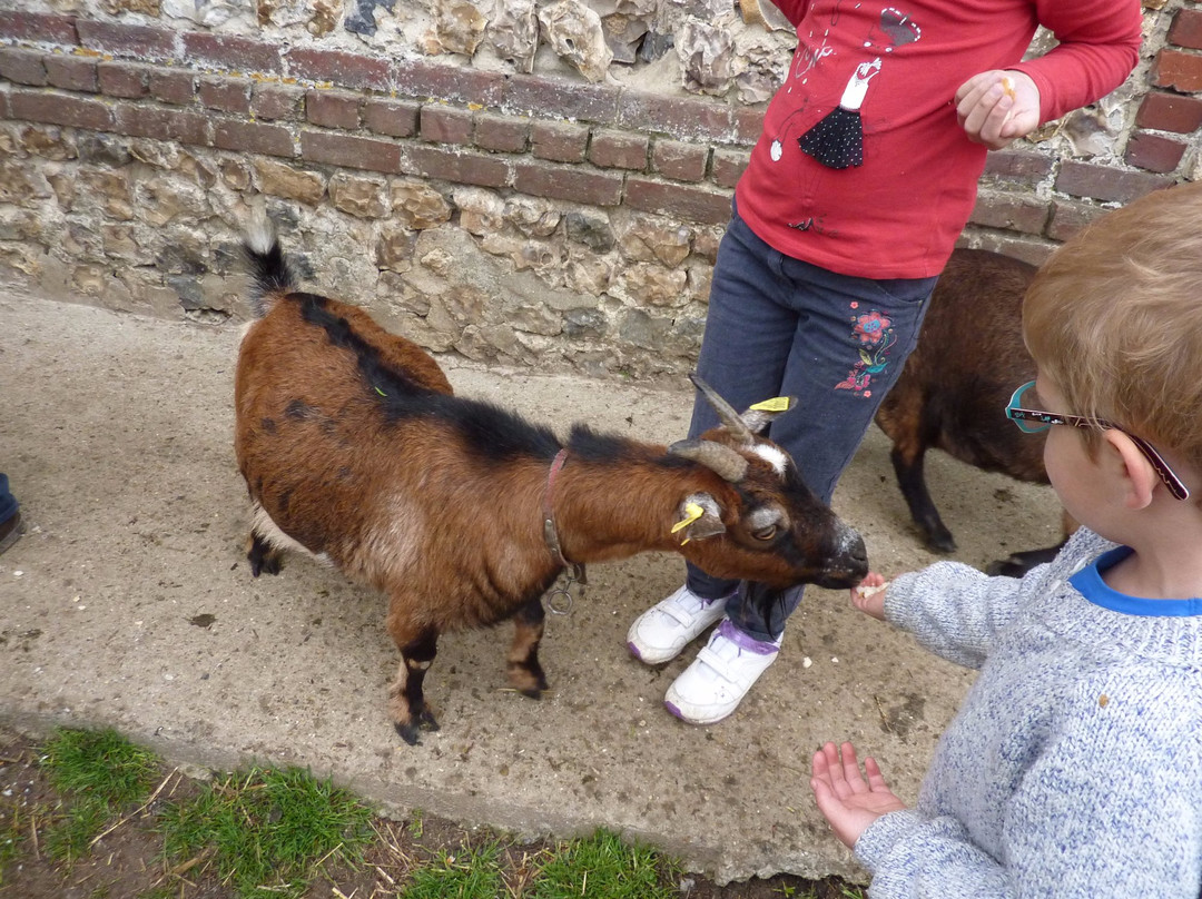 Ferme Pédagogique d'Epaville景点图片