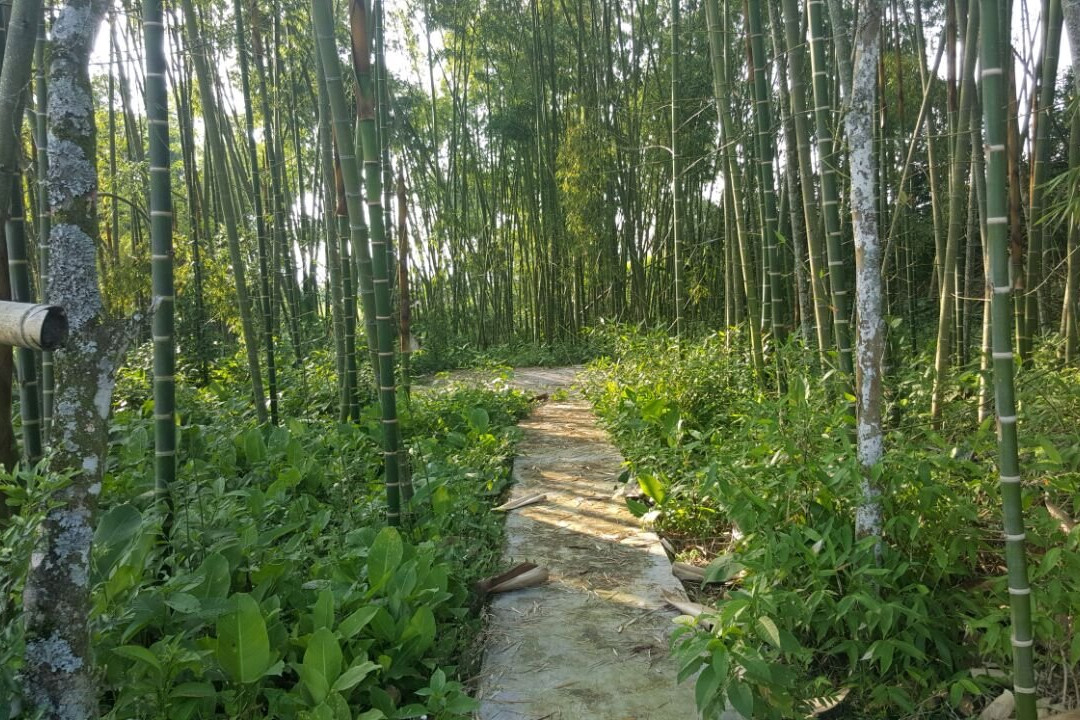 Finca Hotel Mansion Cafetera主图