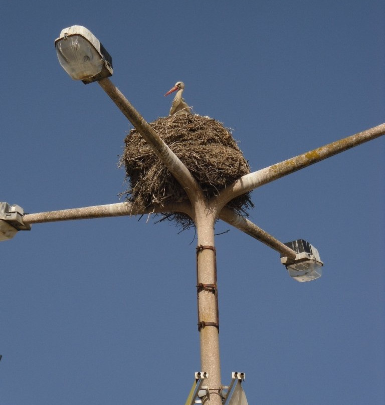 Faro Airport Transfers Algarve-法罗必去景点